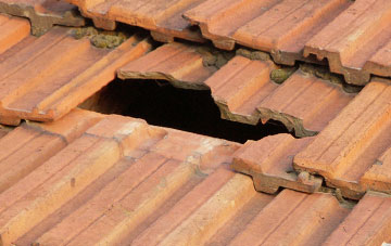 roof repair Bunwell Hill, Norfolk